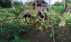 WhatsApp Image 2025-10-28 at 10.00.03_27a6cef5