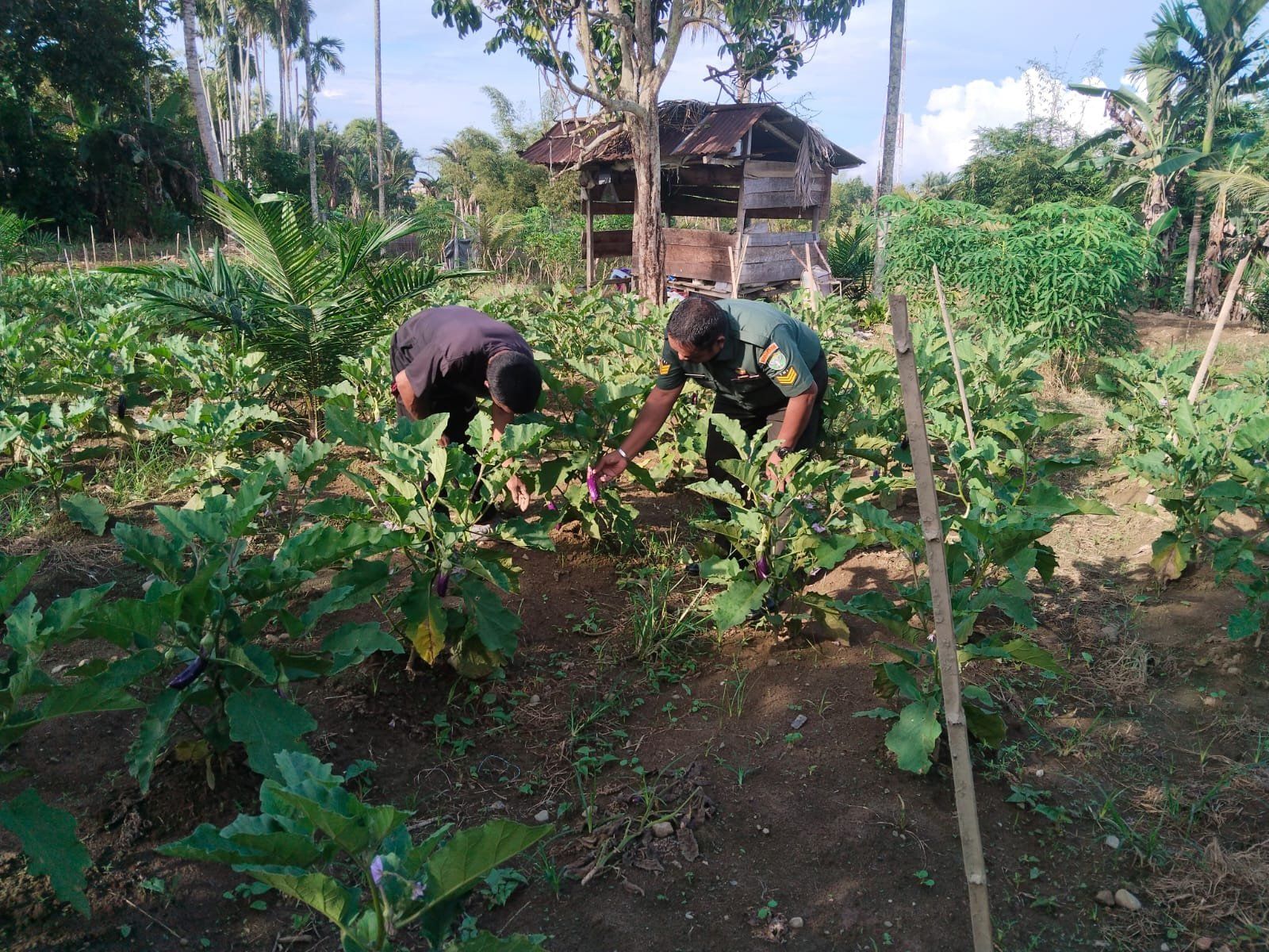 WhatsApp Image 2025-10-28 at 10.00.03_27a6cef5