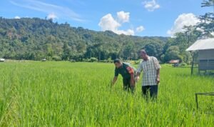 WhatsApp Image 2025-10-28 at 18.28.43_2b223fe8