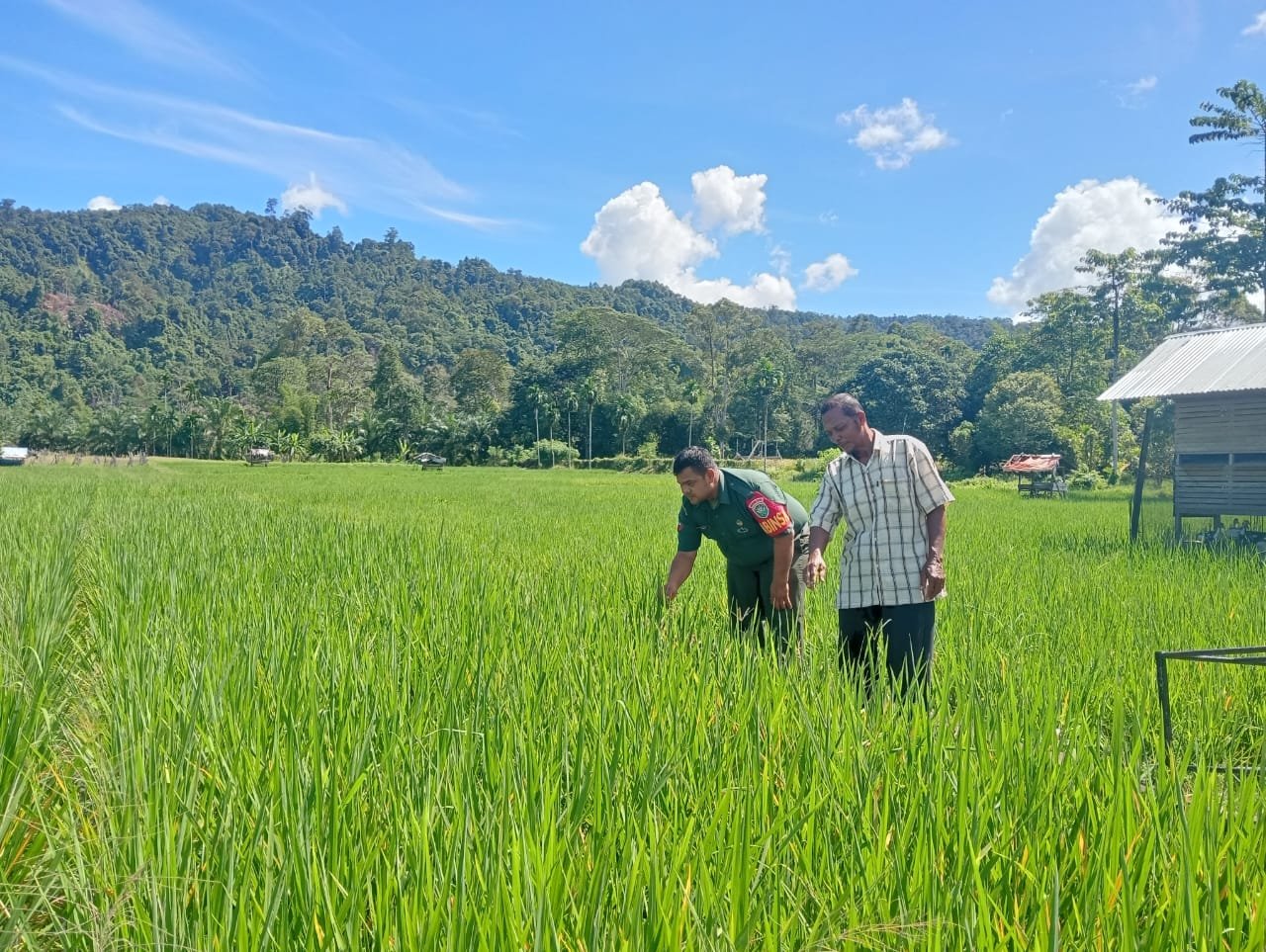 WhatsApp Image 2025-10-28 at 18.28.43_2b223fe8