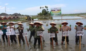 WhatsApp Image 2025-10-31 at 11.52.23_70ff683a