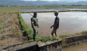 WhatsApp Image 2025-10-31 at 10.02.33_fe24feea