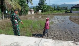 WhatsApp Image 2025-11-09 at 09.27.04_e9ad49b9