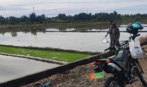 WhatsApp Image 2025-11-10 at 10.32.07_8f3c2f8e