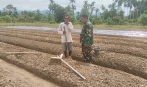 WhatsApp Image 2025-11-11 at 08.48.56_1936737c