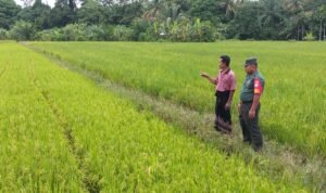 WhatsApp Image 2025-11-11 at 19.05.46_58b34d58