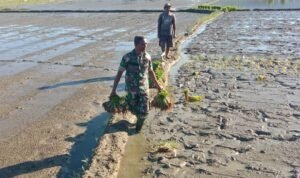 WhatsApp Image 2025-11-16 at 09.31.36_b927f03e